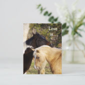 Paarden Love is Briefkaart (Staand voorkant)