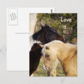 Paarden Love is Briefkaart (Voorkant / Achterkant)