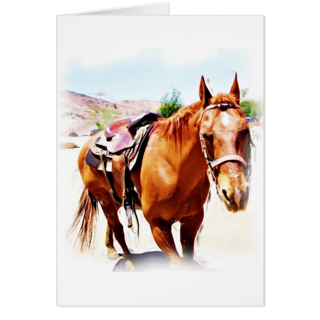 Paarden Lover_ (Voorkant)