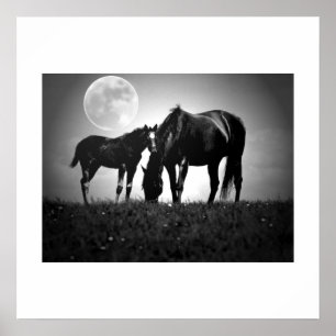 Paarden & maan Pop Art Square Poster afdrukken
