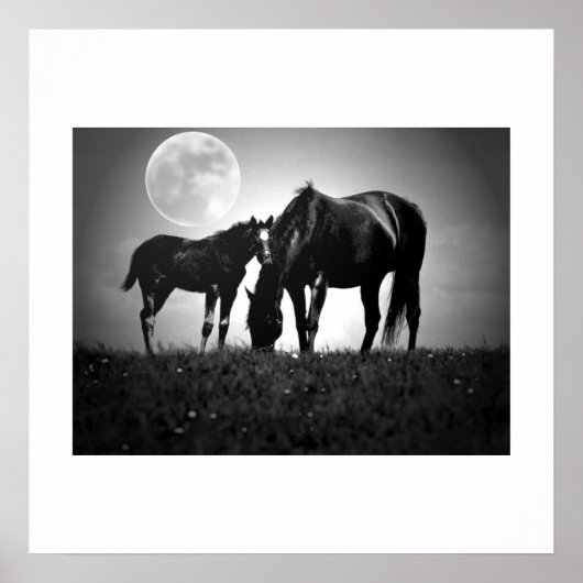 Paarden & maan Pop Art Square Poster afdrukken (Voorkant)