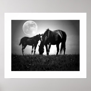Paarden & Maan Pop Art Vierkant Poster Print