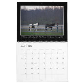 Paarden Maandelijkse kalender 2017 van Thomas Minu (Mar 2026)