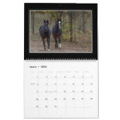 Paarden Maandelijkse kalender 2018 door Tom Minuto (Mar 2026)
