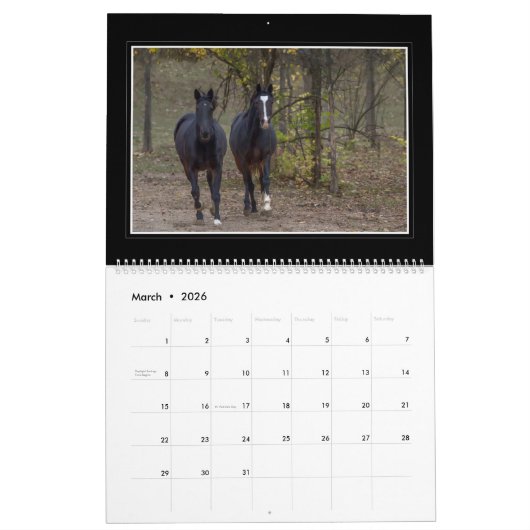 Paarden Maandelijkse kalender 2018 door Tom Minuto (Mar 2026)