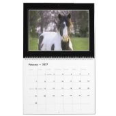 Paarden Maandelijkse kalender 2018 door Tom Minuto (Feb 2027)