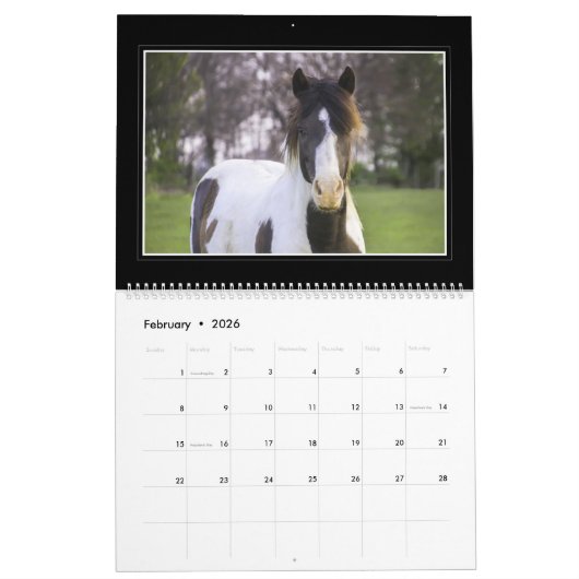 Paarden Maandelijkse kalender 2018 door Tom Minuto (Feb 2026)