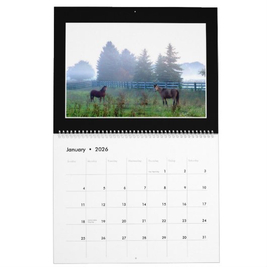 Paarden Maandelijkse kalender 2018 door Tom Minuto (Jan 2026)