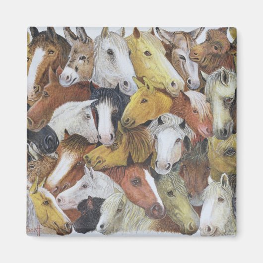 Paarden Magneet (Voorkant)