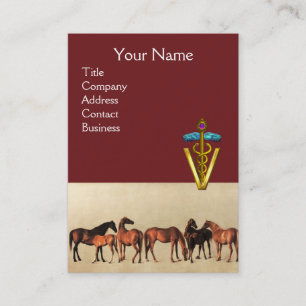 PAARDEN /MERRIES EN VEULENS CADUCEUS VETERINAIR SY VISITEKAARTJE