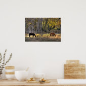 Paarden met Beren op achtergrond Foto-Poster Poster (Keuken)