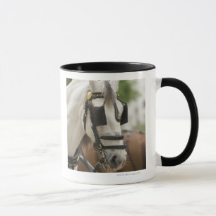 Paarden met blinden mok