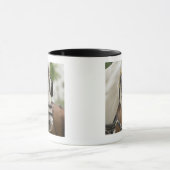 Paarden met blinden mok (Midden)