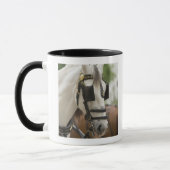 Paarden met blinden mok (Links)