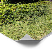 Paarden met Buggy in Amish Country Poster (Hoek)