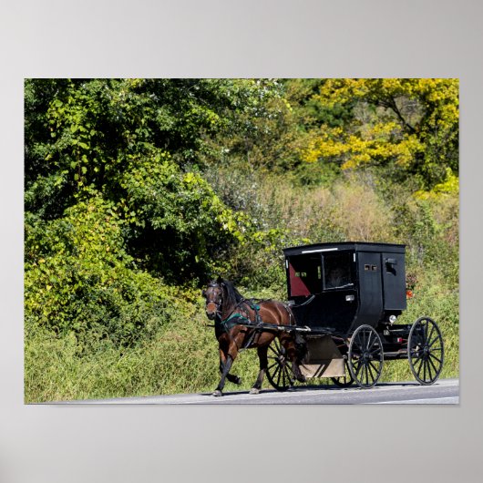 Paarden met Buggy in Amish Country Poster (Voorkant)