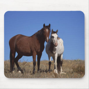 Paarden met de Achtergrond van de Hemel Muismat