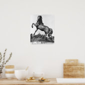 Paarden met een harige poster (Keuken)
