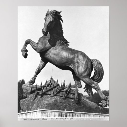 Paarden met een harige poster (Voorkant)