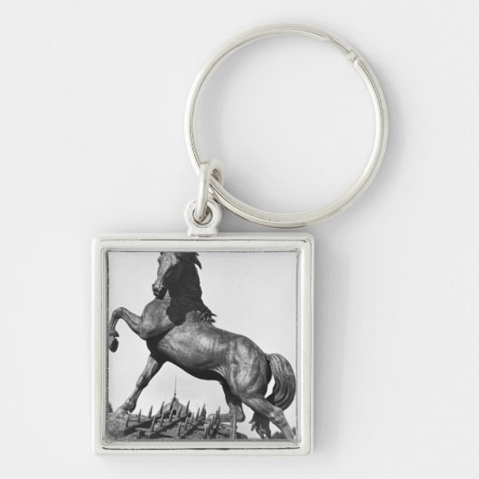 Paarden met een harige sleutelhanger (Voorkant)