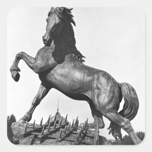 Paarden met een harige vierkante sticker (Voorkant)