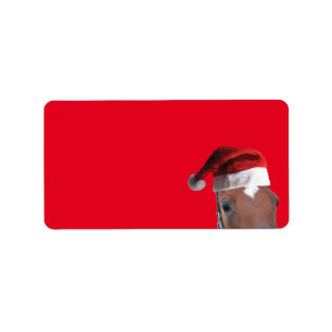 Paarden met een Pet voor de kerstman Etiket
