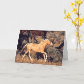 Paarden met een Ponderosa Ranch Kaart (Gele Bloem)