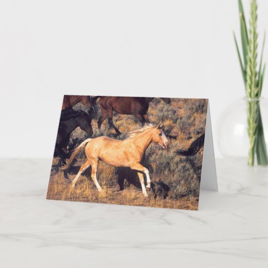 Paarden met een Ponderosa Ranch Kaart (Voorkant)