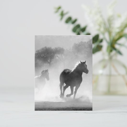Paarden met een zwart en wit mooi landschap briefkaart (Staand voorkant)