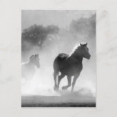 Paarden met een zwart en wit mooi landschap briefkaart (Voorkant)