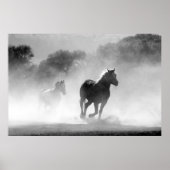 Paarden met een zwart en wit mooi landschap poster (Voorkant)