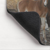 Paarden met foalmousepad muismat (Hoek)