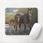 Paarden met foalmousepad muismat (Met muis)
