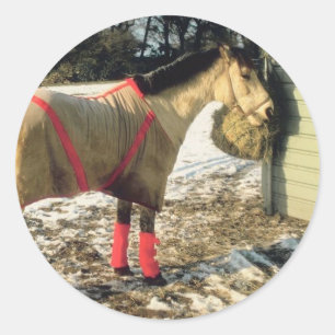 Paarden met geblankets in de winter ronde sticker