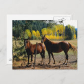 Paarden met gele bomen briefkaart (Voorkant / Achterkant)