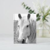 Paarden met gras briefkaart (Staand voorkant)