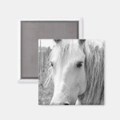 Paarden met gras magneet (Voorkant / Achterkant)