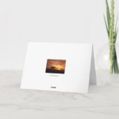 Paarden met lichte paardensympathikaart kaart (Achterkant)