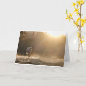 Paarden met lichte paardensympathikaart kaart (Gele Bloem)