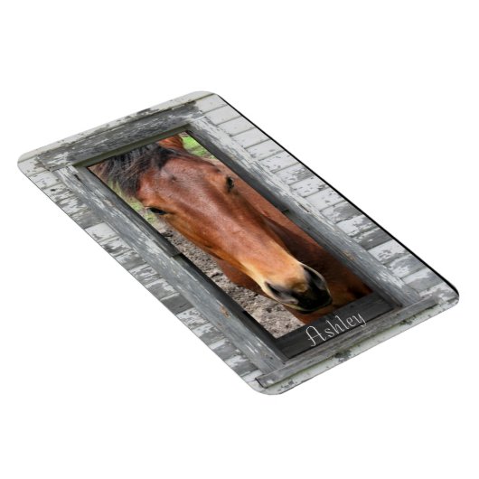 Paarden met naam magneet (Rechterzijde)