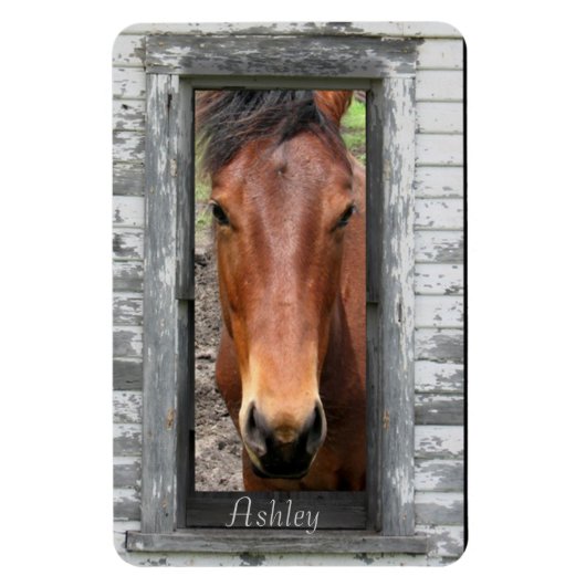 Paarden met naam magneet (Verticaal)