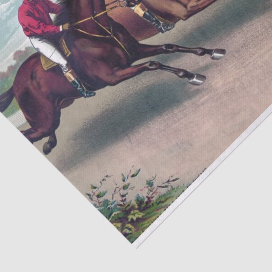 Paarden met raceverf ontkoppelen tissuepapier (Detail)