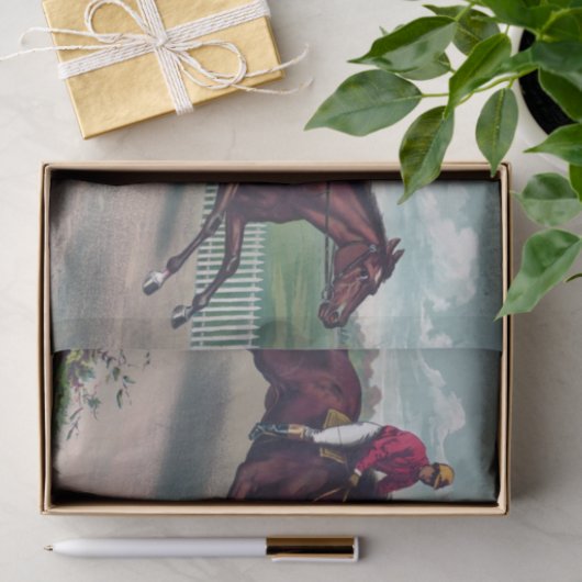 Paarden met raceverf ontkoppelen tissuepapier (Geschenk)