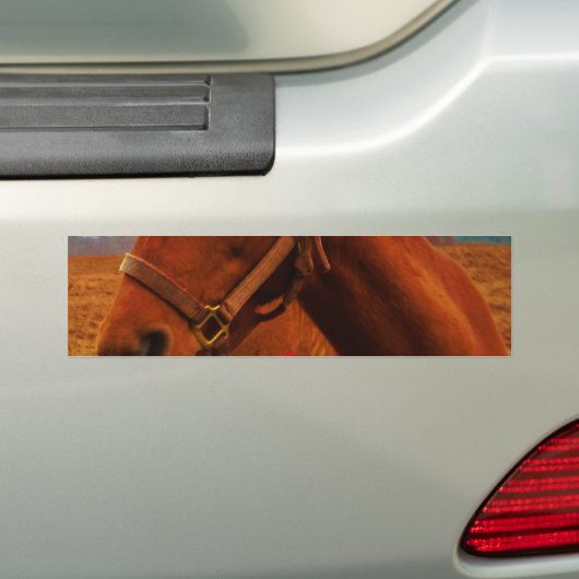 Paarden met rode poot bumpersticker (Op auto)