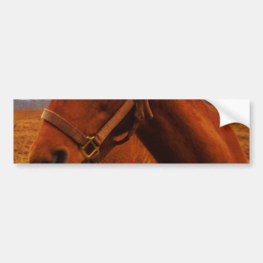 Paarden met rode poot bumpersticker (Voorkant)