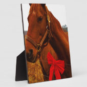 Paarden met rode poot fotoplaat (Zijkant)