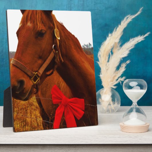 Paarden met rode poot fotoplaat (Zijkant)