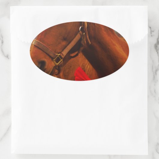 Paarden met rode poot ovale sticker (Tas)
