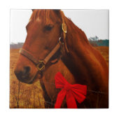 Paarden met rode poot tegeltje (Voorkant)