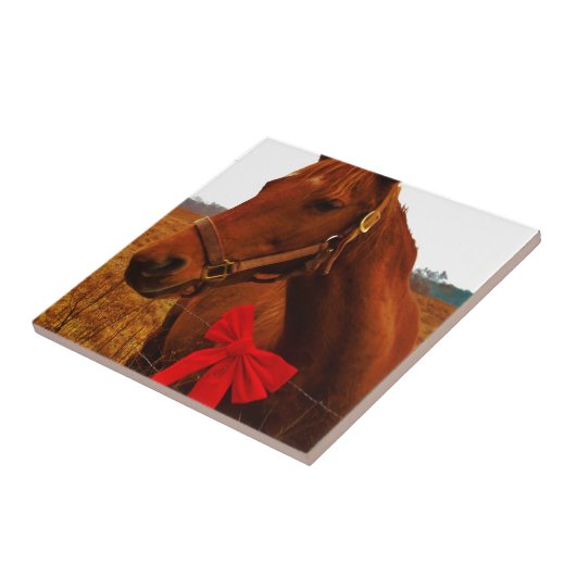 Paarden met rode poot tegeltje (Zijkant)